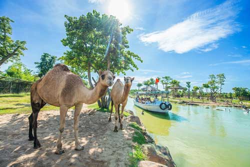 river safari nam hội an điểm đến lôi quấn 1