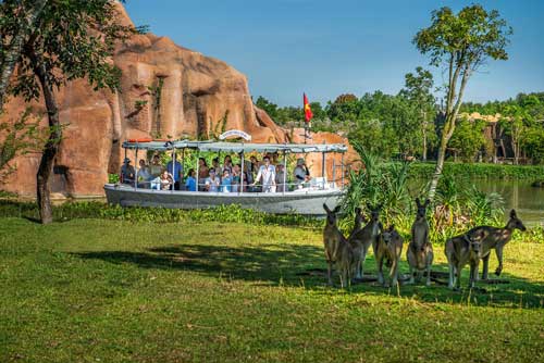 river safari nam hội an điểm đến lôi quấn 2