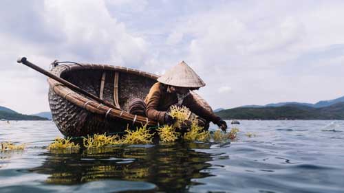 thuyền thúng hội an