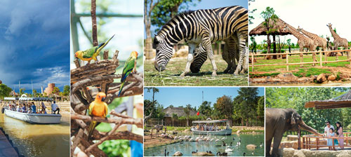 river safari hội an độc đáo