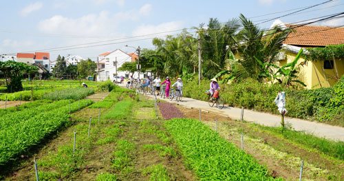 Làng rau trà quế, hình ảnh làng quê bình yên điển hình Việt Nam